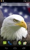 Flag of USA Live Wallpaper screenshot 7