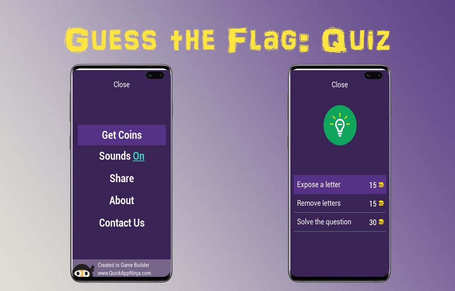 Guess the Flag - Preview 1