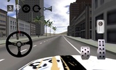 Car Driver 3d screenshot 1