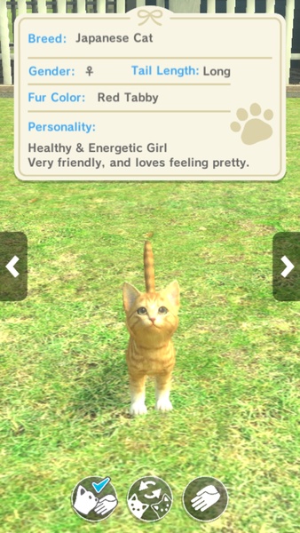 with My CAT - Preview 7