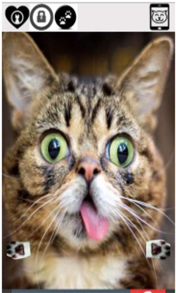 cute funny cat - Preview 5