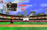 IPL cricket game : Mr IPL T20 screenshot 1