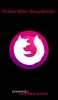 Firefox Video Downloader screenshot 4