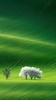 Nature wallpaper hd app offlin screenshot 4