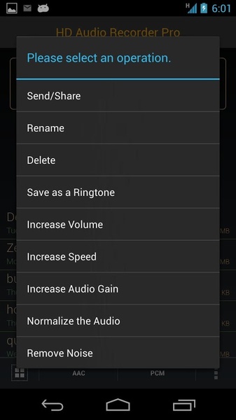 HD Audio Recorder - Preview 1