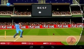T20 Cricket Blast 2014 screenshot 2