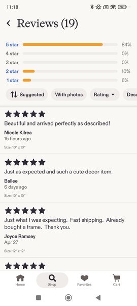 Etsy - Preview 10