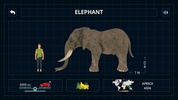 Wild Animals VR Kid Game screenshot 13