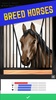 Stable Champions - Horse Racin screenshot 4