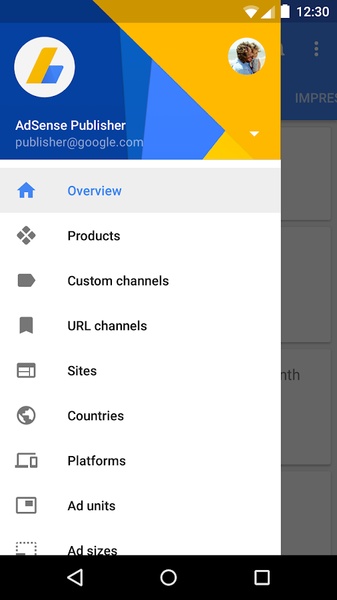 Google AdSense - Preview 10