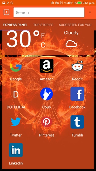 DOTELI BROWSER - Preview 5