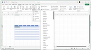 Microsoft Excel screenshot 1