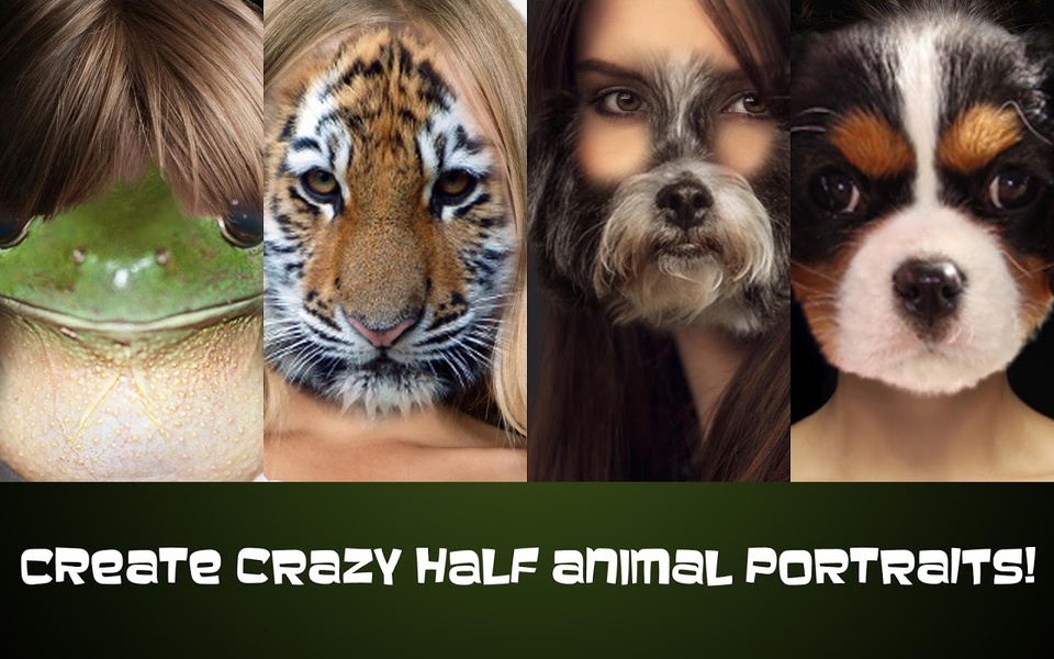Animal Face - Preview 2