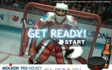 Pro Hockey screenshot 7