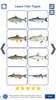 Fish Types screenshot 1