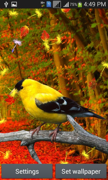Singing Birds LWP - Preview 4