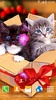 Animals Cute Live Wallpaper screenshot 9