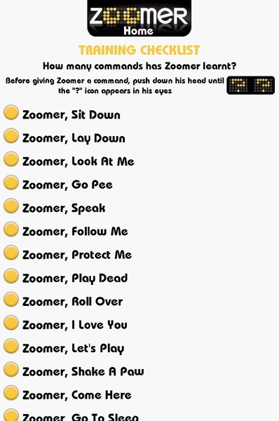 Zoomer - Preview 4