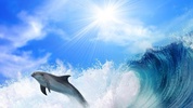 Dolphins Live Wallpaper screenshot 2