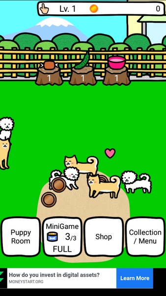 Play with Dogs - Preview 10