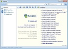 Lingoes screenshot 4