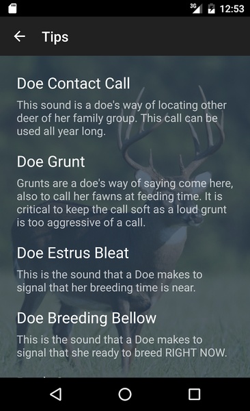 Whitetail Deer Calls - Preview 4