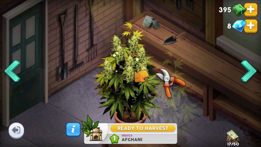 Hempire - Preview 7