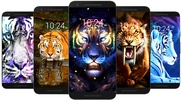 Tiger Wallpaper HD & 4K screenshot 5