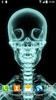 Skulls Live Wallpaper screenshot 8