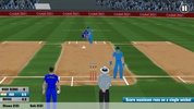 Real Cricket screenshot 10