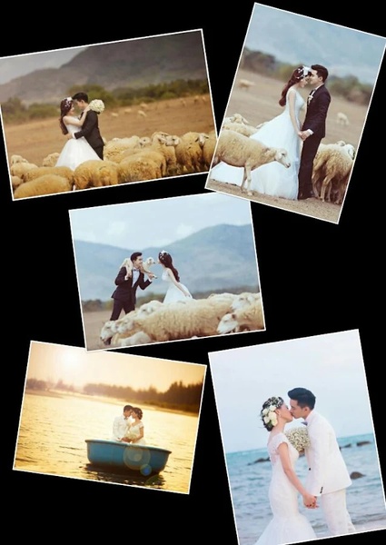 Picture Collage - Preview 5
