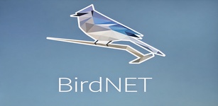 Imagen destacada de BirdNET