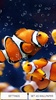 Aquarium Live Wallpaper screenshot 7