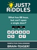 Just Riddles screenshot 1