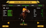Virtual Horse Racing Champion screenshot 7