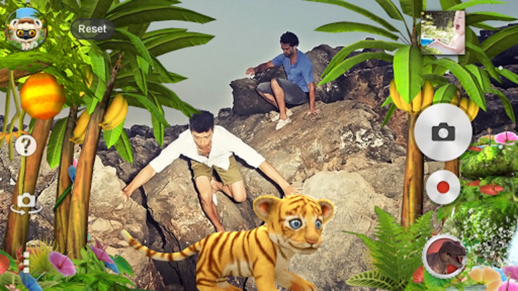 Jungle - Preview 1