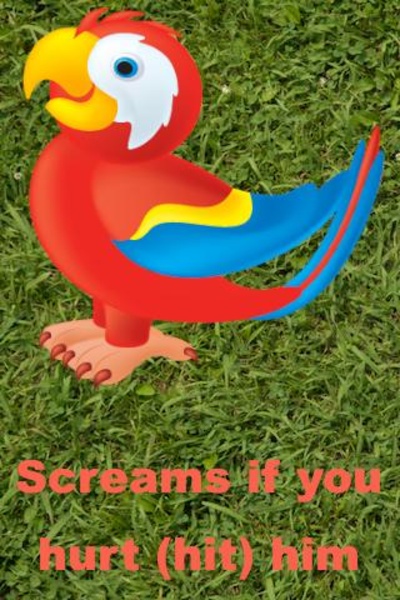 Talking Parrots - Preview 2