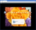 WebSharing Lite screenshot 6
