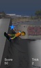 eXtreme Freestyle SkateBoard screenshot 4