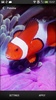 Sea Animals Live Wallpaper screenshot 2