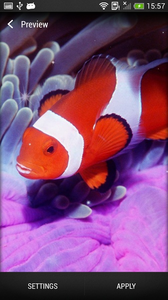 Sea Animals Live Wallpaper - Preview 2