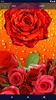 3D Red Rose Live Wallpaper screenshot 5