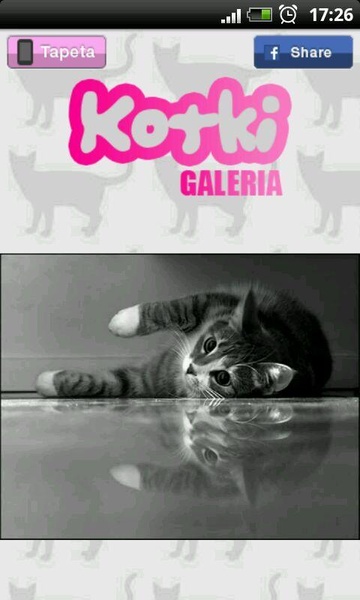 Cats - Preview 7
