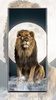 lion wallpaper screenshot 1