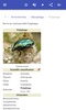 Beetles screenshot 12