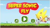 Super Sonic Fly screenshot 1
