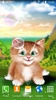 Kitten Live Wallpaper screenshot 5