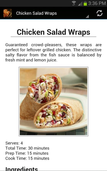 Easy & Healthy Chicken Recipes - Preview 3
