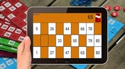 Bingo Game screenshot 1