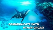 Killer Whale Simulator: Orca screenshot 2